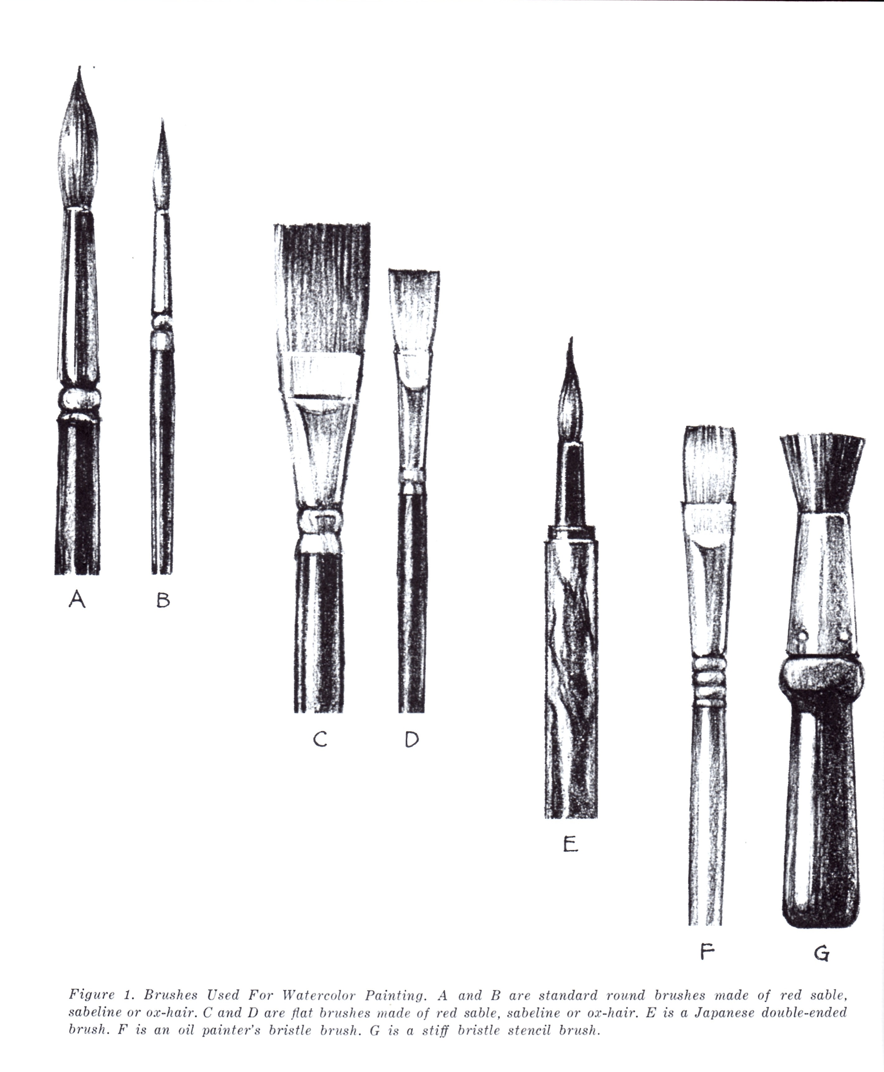 Different Types Of Paint Brushes